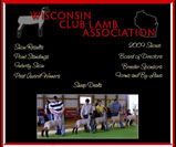Wisconsin Club Lamb Association